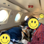 air ambulance services in india