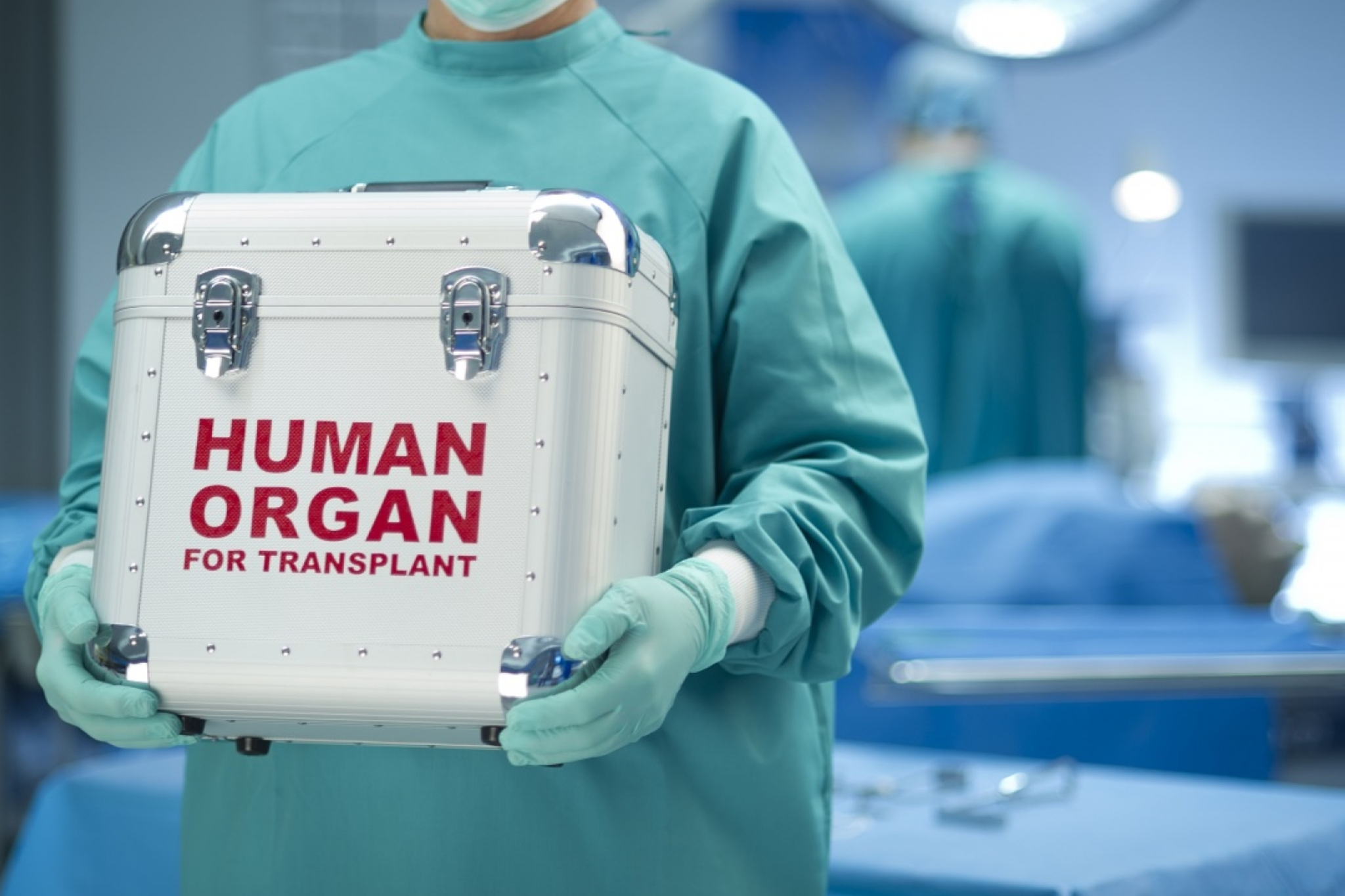 organ tansplant